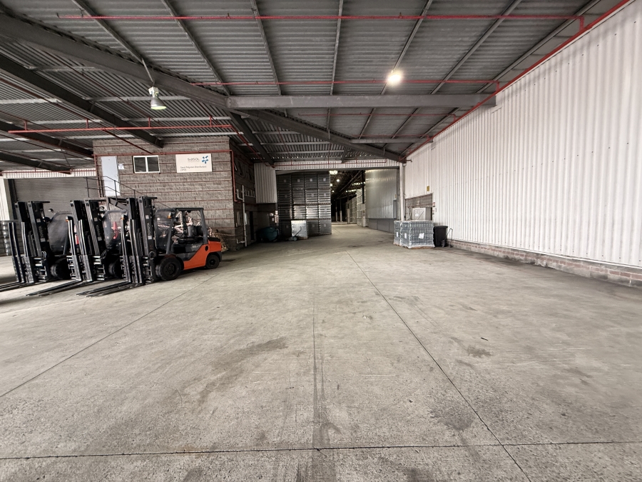 To Let Commercial Property for Rent in Parow Industrial Western Cape
